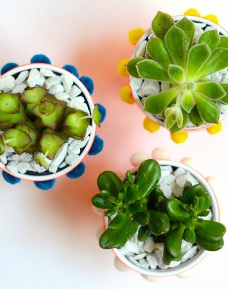 DIY macetas para suculentas con vasos de plástico