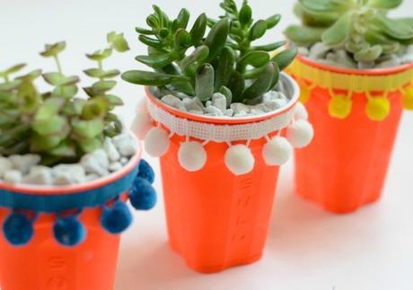 DIY macetas para suculentas con vasos de plástico