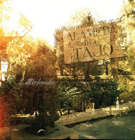 Recordando mis vacaciones 2014: Ronda