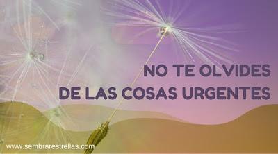 cinco tips de organizacion para madres