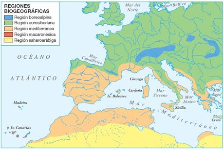 REGIONES BIOGEOGRÁFICAS
