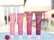 poder antioxidante uvas gama Vinosource Caudalie