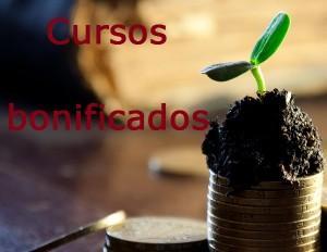 cursos bonificados