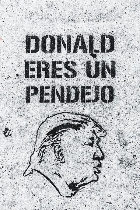 Wynwood-Miami-Black_And_White_Stripes_Wall-For_Love_And_Lemons_Dress-Floral_Print-Wedges-Outfit-39