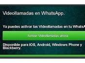 timo videoconferencias WhastApp