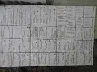 EL RIEGO DE LOS SEMILLEROS EL RIEGO DE LOS SEMILLEROS