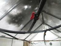 EL RIEGO DE LOS SEMILLEROS EL RIEGO DE LOS SEMILLEROS