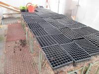 EL RIEGO DE LOS SEMILLEROS EL RIEGO DE LOS SEMILLEROS