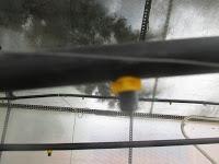 EL RIEGO DE LOS SEMILLEROS EL RIEGO DE LOS SEMILLEROS