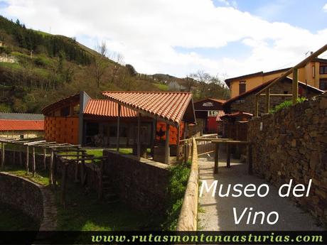Museo del Vino en Cangas del Narcea