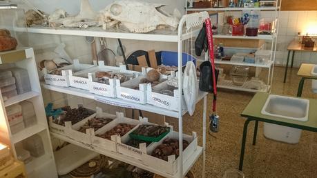 Cómo diseñar espacios de aprendizaje DSC_1241