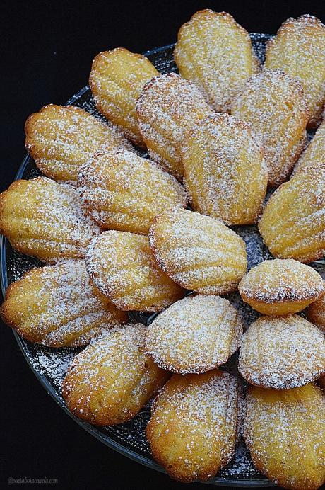 Madeleines