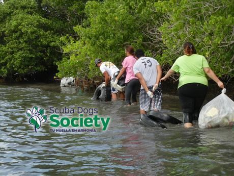 Elimina el Pez Basura para limpiar a Puerto Rico scuba dogs society puerto rico FAJARDO-COSTA-DEL-INDIO-ICC-2014-22