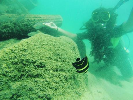 Buceando con Scuba Dogs en el Escambrón, San Juan, Puerto Rico