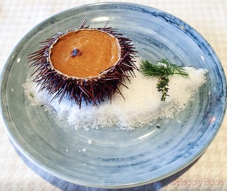 erizos crema El raco del navegant bacoyboca