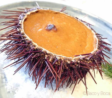 erizos en crema El raco del navegant bacoyboca