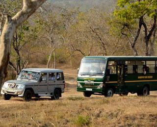 Visita a Bandipur.......