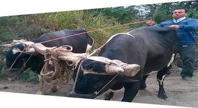 Luis Revilla: EL NEGOCIADO BAJO LA MESA HACE INOPERANTE A CUALQUIER AUTORIDAD EDIL… .