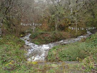 San Miguel del Río-El Castiil.lu Polación-Valdelaspina