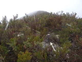 San Miguel del Río-El Castiil.lu Polación-Valdelaspina