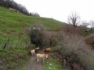 San Miguel del Río-El Castiil.lu Polación-Valdelaspina