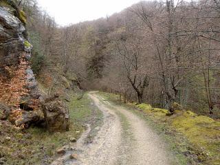 San Miguel del Río-El Castiil.lu Polación-Valdelaspina