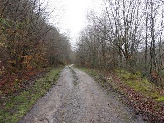San Miguel del Río-El Castiil.lu Polación-Valdelaspina