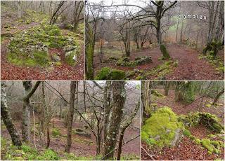 San Miguel del Río-El Castiil.lu Polación-Valdelaspina