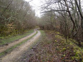 San Miguel del Río-El Castiil.lu Polación-Valdelaspina