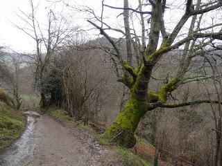 San Miguel del Río-El Castiil.lu Polación-Valdelaspina