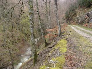 San Miguel del Río-El Castiil.lu Polación-Valdelaspina