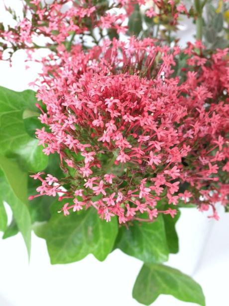 Pequeños cambios en primavera Pequeños cambios en primavera