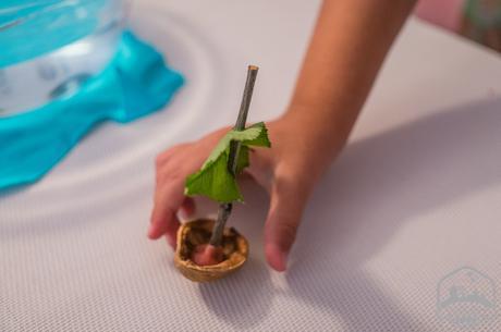 ¿Por qué los niños deben jugar con los 4 elementos? DSC07921