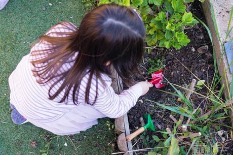 ¿Por qué los niños deben jugar con los 4 elementos? DSC06223