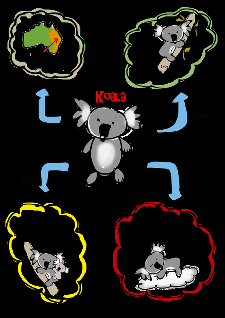 El koala