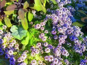 Agradecida por el milagro de la vida