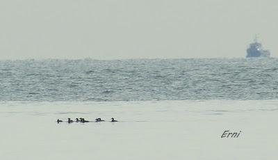 ¿CONOCÉIS ALGÚN OTRO LUGAR DONDE SUCEDA ESTO?