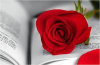 Diada Sant Jordi. (Publicado Abril 2007)