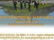 Carrera Circuito Fuengirola