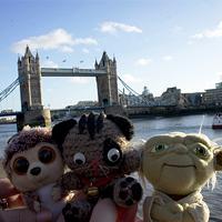 gato puente londres