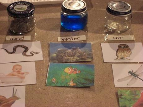 7 ideas originales de estimulación con Botes que no te puedes perder