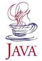 Java - Evolución - Pasado - Presente - Futuro