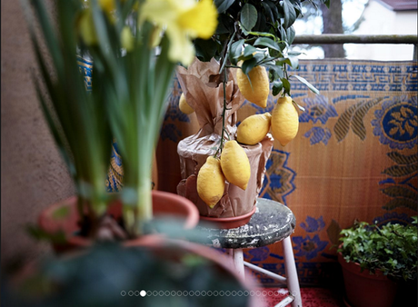 Cómo decorar con color marsala Cómo decorar con color marsala