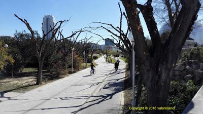 Valencia - fotos denuncia «Bicicletas».