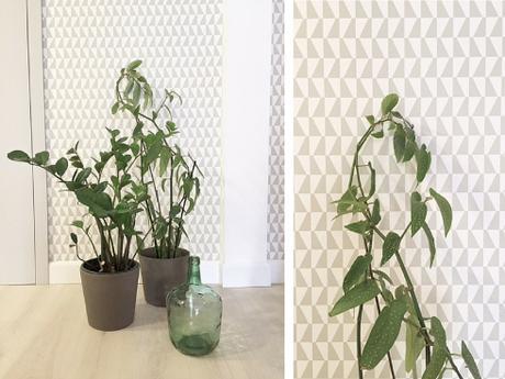 Quedamos en mi zona verde 2