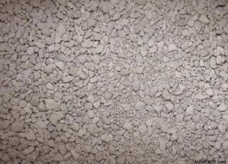 Tierra en mis zapatos, gatos en mis pies