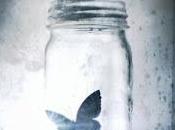 Frases memorables: Beautiful disaster