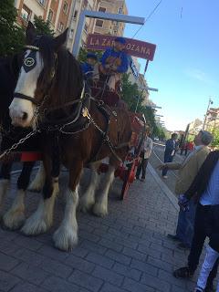 Feria del Libro {Zaragoza}.