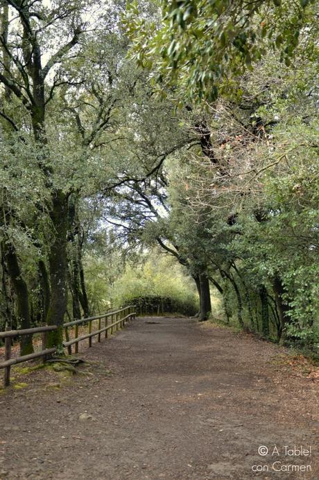 De Ruta Volcánica por la Garrotxa