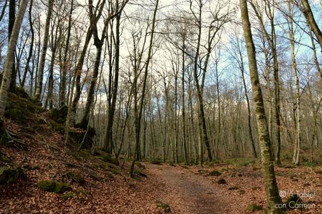De Ruta Volcánica por la Garrotxa